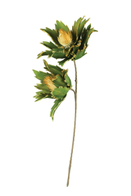 BOTANICA #3167