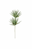 BOTANICA #3365