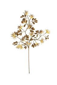 BOTANICA #3499