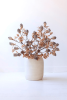 BOTANICA #3504
