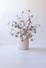 BOTANICA #3510