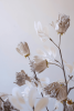 BOTANICA #3510