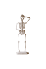 RUSTIC WHITE METAL SKELETON ON A STAND