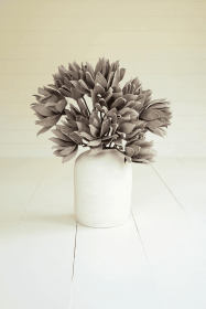 BOTANICA #2649