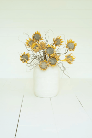 BOTANICA #2688