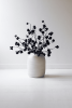 BOTANICA #2720