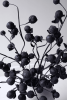 BOTANICA #2720