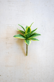 ARTIFICIAL HAHNII STEM