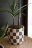 SET OF THREE CHECKERED CLAY PLANTERS WITH TRAYS