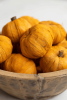BAG OF FIFTEEN DRIED MINIATURE FAUX PUMPKINS - ORANGE