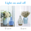 Glass Vase Essential Oil Diffuser