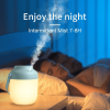 Portable Essential Diffuser