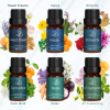 Well-Being Essential Oil Set