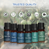 Well-Being Essential Oil Set