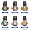 Decency Essential Oils Set