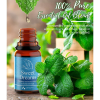 Cozy Essential Oil Set