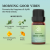Wellness Blend Essential Oils Set