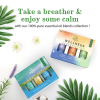 Wellness Blend Essential Oils Set