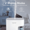 Auto 500  Essential Oil Diffuser