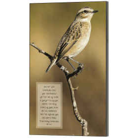 Many Sparrows Luke 12:6-7 Wall Plaque