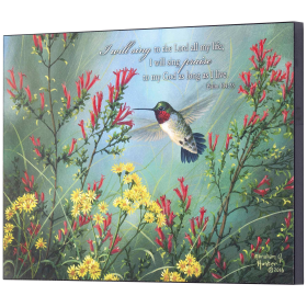 Prairie Ruby Throat Wall Plaque