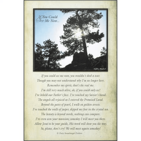 If You Could See Me Now By John Michael