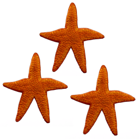 Painted Starfish - Set of 3