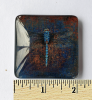 Set of 6 Acrylic Glass Magnets, The Dragonfly Collection