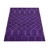 Rugsotic Carpets Hand Knotted Loom Silk Area Rug