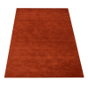 Rugsotic Carpets Hand Knotted Loom Wool Area Rug Solid
