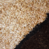 Rugsotic Carpets Hand Tufted Shag Polyester Area Rug Contemporary