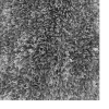 Rugsotic Carpets Hand Tufted Shag Polyester Area Rug Solid