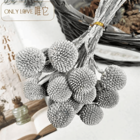 Preserved Globosa Flower (Color: Gray)