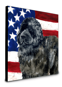 Newfoundland Accent Decor (Color: Newfoundland, size: 8 x 8)