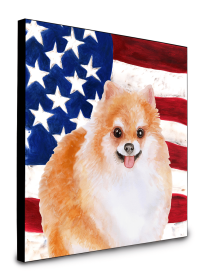 Pomeranian #2 Accent Decor (Color: Pomeranian #2, size: 8 x 8)