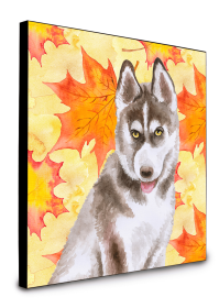 Siberian Husky Grey Accent Decor (Color: Siberian Husky Grey, size: 8 x 8)