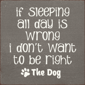 If Sleeping All Day Is Wrong I Don't Want To Be Right (Color: Old Anchor Gray)