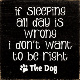 If Sleeping All Day Is Wrong I Don't Want To Be Right (Color: Old Black)