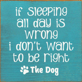 If Sleeping All Day Is Wrong I Don't Want To Be Right (Color: Old Turquoise)