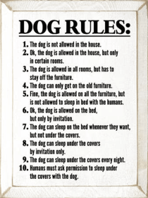 Dog Rules Funny Wood Sign (Color: Old Cottage White)