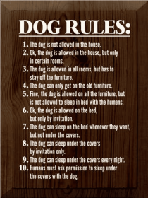 Dog Rules Funny Wood Sign (Color: Walnut Stain)