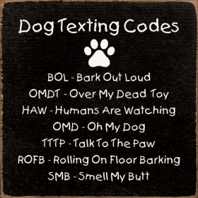 Dog Texting Codes: BOL - Bark Out Loud... (Color: Old Black)