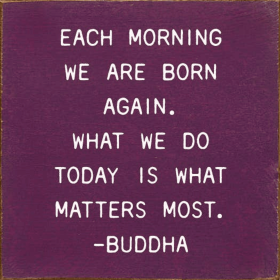 Each morning we are born again... -Buddha (Color: Old Elderberry)