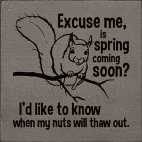 Excuse Me Is Spring Here Squirrel Wood Sign (Color: Old Anchor Gray)
