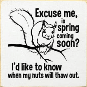 Excuse Me Is Spring Here Squirrel Wood Sign (Color: Old Cottage White)