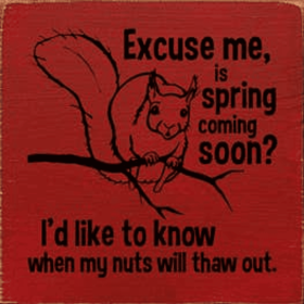 Excuse Me Is Spring Here Squirrel Wood Sign (Color: Old Red)