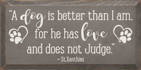 A Dog Is Better Than I Am Wood Sign (Color: Old Anchor Gray)