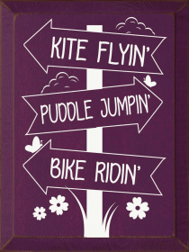 Kite Flyin' Puddle Jumpin' Bike Ridin' (Color: Old Elderberry)