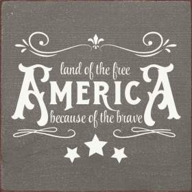 America - Land Of The Free Because Of The Brave (Color: Anchor Gray)