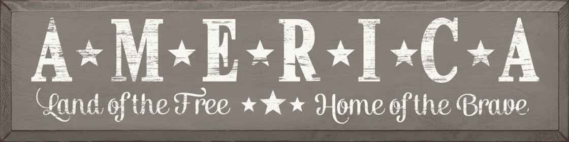 America Land Of The Free, Home Of The Brave (Color: Anchor Gray)